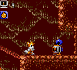 Скриншот игры Tails Adventure